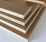 Strong Nail Holding 18mm Film Faced Plywood For Home Furniture Industry 8%~12%