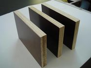High Density 100% Poplar Film Faced Plywood For Real Estate Construction Multi Color