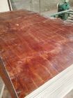 Waterproof Red Film Faced Plywood , Melamine Laminated Plywood 2 Time Hot Press